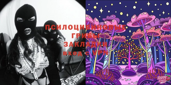 мяу мяу мука Баксан