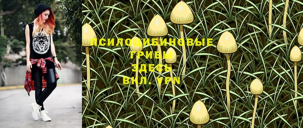 мяу мяу мука Баксан