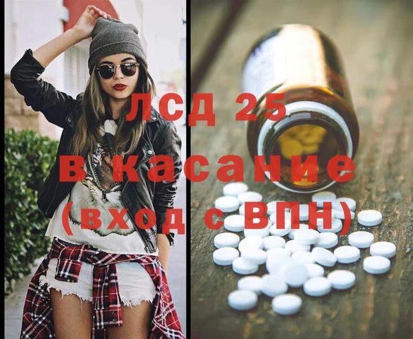мяу мяу мука Баксан