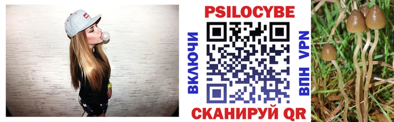 где можно купить   Новый Оскол  Псилоцибиновые грибы ЛСД 